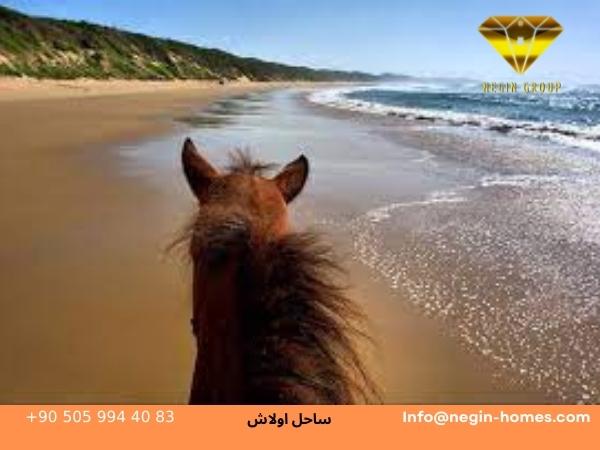 ساحل اولاش سفر به ترکیه