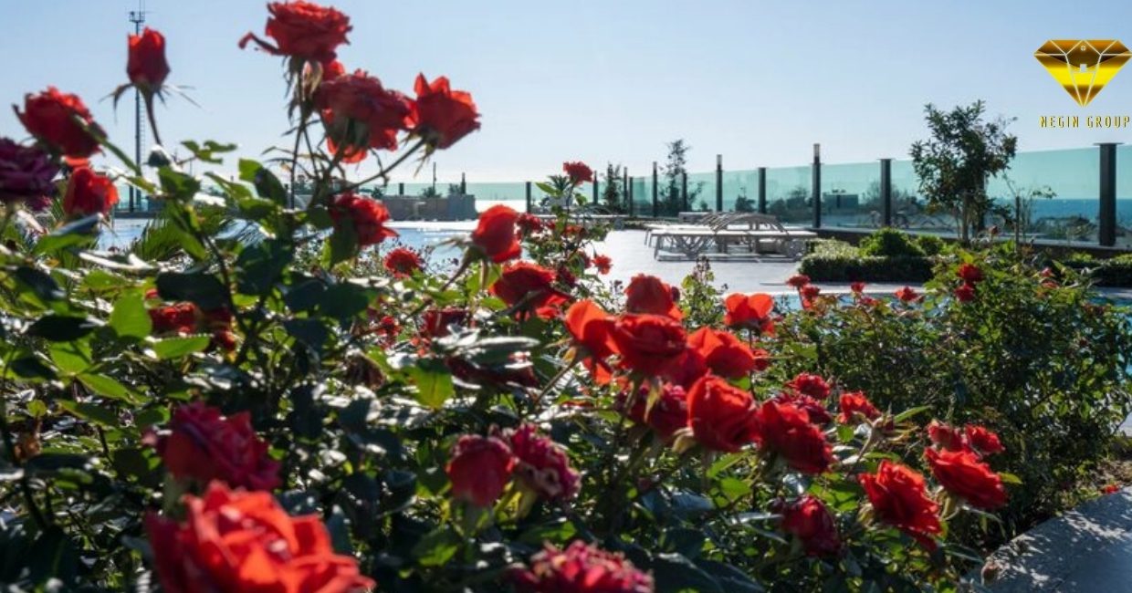 خرید آپارتمان ارزان آلانیا