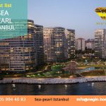 SeaPearl Istanbul Project